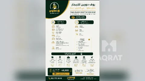 شقة