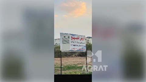 ارض