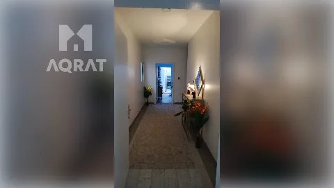 شقة