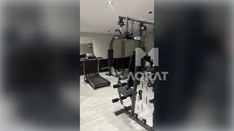 شقة