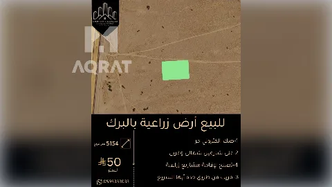 ارض