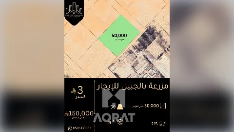 مزرعة