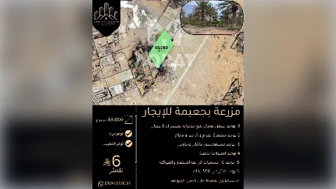 مزرعة