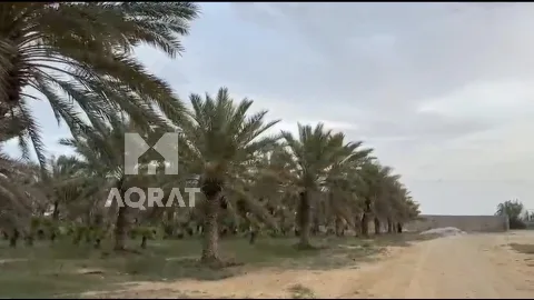 مزرعة