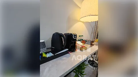 شقة